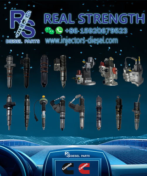 HK REAL STRENGTH TRADE LIMITED